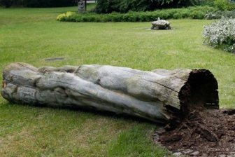 "Jugend im Sozialismus" ist gefallen - Bei der Neugestaltung des Parkes am einstigen Fritz-Heckert- und heutigen Falkeplatz entstand die Skulptur "Jugend im Sozialismus". Morsch geworden, fiel sie nun.