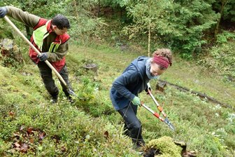 Junge Europäer unterstützen Naturschutzprojekte im Vogtland - An einem felsigen Hang im Revier Erlbach arbeiten Magali Röhrich aus München und Sachsenforst-Mitarbeiter John Hahn an der Erhaltung eines Kreuzotterhabitats. 