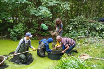 Junge Naturwächter bauen in Freiberg nicht nur Tümpel für Feuersalamander - Junge Naturwächter des Nabu Freiberg beim Keschern im Ludwig-Renn-Park.