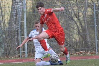 Junge Schwäne meistern Hürde Nordhausen - 