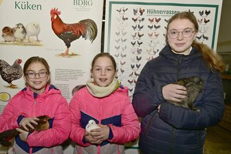 Junge Tierfreunde feiern bei Ausstellung im Vogtland erste Erfolge - Züchternachwuchs: Emma Flechsig (links), ihre Zwillingsschwester Frieda und Leonie Kober.