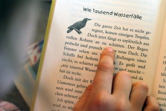 Junge Vorleser stellen sich in Plauener Vogtlandbibliothek dem Wettbewerb - Der Regionalausscheid des Vorlesewettbewerbs findet in Plauen statt.