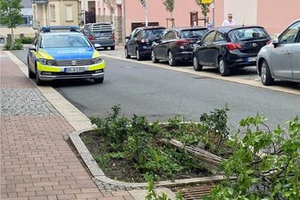 Junger Baum auf Plauener Bergstraße umgefahren - Auf der Plauener Bergstraße wurde ein Baum zerstört.
