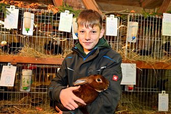 Junger Züchter aus dem Vogtland verblüfft alte Hasen - Matteo Langhammer züchtet erst seit dem Frühjahr und verblüffte bei der Lokalschau mit seinen Castor Rex selbst erfahrene Züchter.