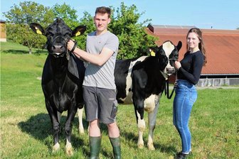 Junges Geschwisterpaar bereitet sich mit zwei Kälbern für den Laufsteg vor - Mit diesen Kälbern geht es zum Vorführwettbewerb der Jungzüchter: Leon mit der knapp zweijährigen Leonie und seine Schwester Lena mit Ona, reichlich ein Jahr alt.