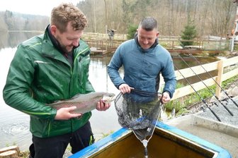 Jungunternehmer beleben Fischereibetrieb - Tino Fritzsch und Nico Post (links) beim Umsetzen einer Forelle. 