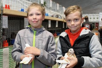 Jungzüchter lassen ihre Tauben von Experten bewerten - Josia Marek (links) und Mick Lippmann haben sich als Jungzüchter mit ihren Tieren an der Kreisjugendschau für Rassegeflügel beteiligt. 