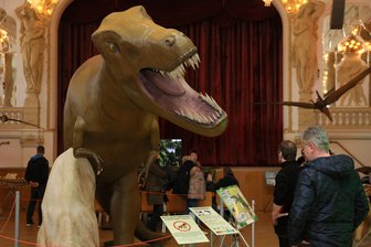 "Jurassic Expo" versetzt Besucher in Urzeit - Der Tyrannosaurus Rex fand bei den Besuchern besonderes Interesse.