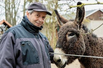 Kängurus beziehen WG im Tiergarten - Tiergarten-Chef Michael Gottschald bei den Poitou-Eseln, die zu den Lieblingen der Besucher gehören.