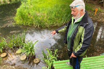Käppels Teiche in Mühlwand: Der Chef und sein letztes großes Bauprojekt - Touristik-Unternehmer Dieter Käppel am Steg der neu entstehenden Hütte am Amphibien-Teich. Zum letzten großen Hardware-Projekt des Natur-Pädagogen gehören auch die Trittsteine links im Bild, dank derer man quasi übers Wasser laufen kann. Ist alles fertig, bietet der 70-Jährige dort Führungen an - sogar mit Unterwasser-Perspektive.