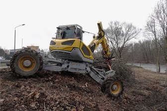 Kahlschlag an der Mulde bereitet neue Hochwassermauer vor - Entlang der B 93 werden zur Vorbereitung auf den Bau der Schutzmauer Bäume gefällt. Das Holz wird zur Energiegewinnung genutzt.