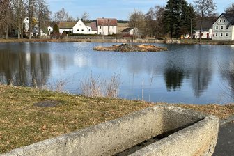 Kahlschlag auf Possecker Insel: Amt erfuhr es erst später - Die Bäume auf der Teichinsel in Posseck wurden im Januar gefällt. Es gibt aber dafür Ersatz.