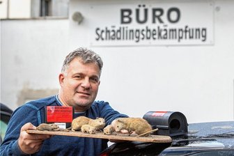 Kammerjäger aus dem Vogtland erzählt: Diesen Einsatz werde ich nie vergessen - Mike Gebhardt ist für die Firma Holzschutz- und Schädlingsbekämpfung (HSP) in Plauen im Einsatz. Mit den kälteren Temperaturen zieht es Ratten näher an Häuser, sofern sie dort Nahrung finden: volle gelbe Säcke, Vogelfutter, Biomüll. "Wir Menschen machen viele Fehler", sagt der Experte.