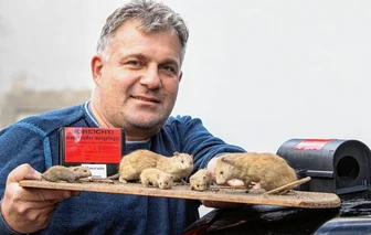 Kammerjäger: Diese Wohnung werde ich nie vergessen - Mike Gebhardt ist für die Firma Holzschutz- und Schädlingsbekämpfung (HSP) in Plauen im Einsatz. Mit den kälteren Temperaturen zieht es Ratten näher an Häuser, sofern sie dort Nahrung finden: volle gelbe Säcke, Vogelfutter, Biomüll. "Wir Menschen machen viele Fehler", sagt der Experte. 
