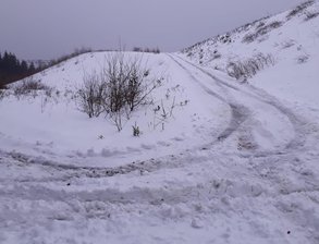 Kammloipe erneut zerstört - Autospuren, wo sonst Langlaufloipen sind.