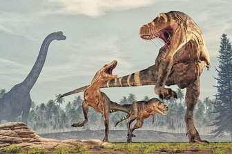 Kampf der Schwänze - Urwelt.