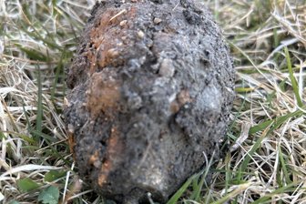 Kampfmittelbeseitigungsdienst im Landkreis Zwickau im Einsatz: Kräfte kümmern sich um F1-Handgranate, die in einem Teich lag - Der Kampfmittelbeseitigungsdienst hat die Handgranate geborgen.