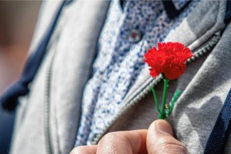Kampftag oder Krampftag? Die Rückkehr der roten Nelken in Südwestsachsen - Einst ersetzte die rote Nelke die verbotene rote Fahne. In Plauen wurde die Gewerkschaft Verdi knapp 30 Exemplare los. 