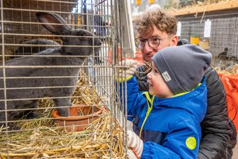 Kaninchenfieber in Altmittweida: Neugierige strömen zur Ausstellung - 