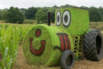 Karls Erlebnisdorf in Döbeln: So geht es in den Mais - und aus dem Labyrinth heraus -