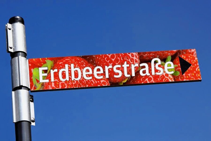 Karls Erlebnisdorf: In Döbeln wird nicht nur an der "Erdbeerstraße" gebaut - Nun ist es beschlossene Sache: Die Zufahrtsstraße zum neuen Erlebnisdorf in Döbeln erhält den Namen "Erdbeerstraße". 