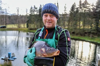 Karpfen zu Silvester: Wo es ihn im Westerzgebirge zu kaufen gibt und was er kostet - David Kunzmann mit einem Karpfen, der von der Fischerei am Conradsbach angeboten wird.