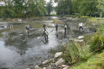 Karpfensaison in Ringethal beginnt - Der Verein der Zschopausportfischer lädt am Samstag zum Fischerfest nach Ringethal ein.