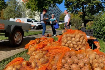 Kartoffelernte zwischen Plattenbauten in Flöha: Die Hälfte der Knollen ist schon verkauft - Die beiden Mitarbeiter der Wohnungsgenossenschaft Flöha und Umgebung, Jenny Schenkel und Tom Kallweit beim Kartoffelverkauf.