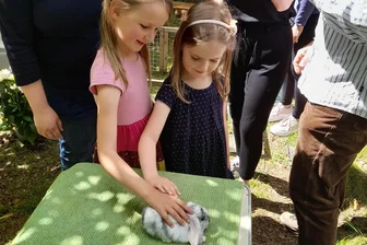 Karussell, Reiten und mehr: Kinderattraktionen beim Dorffest in Lauterbach sind kostenlos - Auf die kleinen Besucher des Dorffestes in Lauterbach wartet viel Abwechslung.