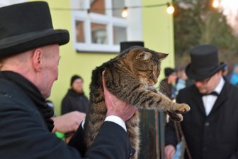 Kater Carlo sagt in Voigtsdorf das Wetter voraus: So wird der Winter - Kater Carlo hat erstmals als Vierbeiner mit seiner Gewichtszunahme das Wetter voraussagen lassen.