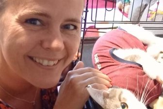 Kater findet neues Zuhause - Susanne Beckert aus Dresden bietet Kater Martin jetzt ein neues Zuhause in der Landeshauptstadt.