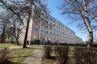 Katze sitzt mehr als 24 Stunden auf einem Baum in Meerane: Feuerwehr rückt an und greift zur Bügelsäge - Zur Tierrettung am Westring in Meerane war die Feuerwehr im Einsatz.