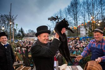 Katzen lügen nicht: Winter wird eher mild - Katzenwiegen: Nero hat nur 23 Prozent zugenommen.