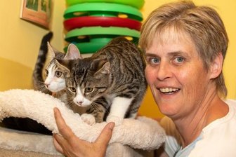 Katzenflut: Plauener Tierheim verhängt Aufnahmestopp - Tierheimchefin Antje Kausch mit den Katzen Elmo und Elvis. In der Einrichtung am Galgenberg werden derzeit mehr als 100 Katzen versorgt. 