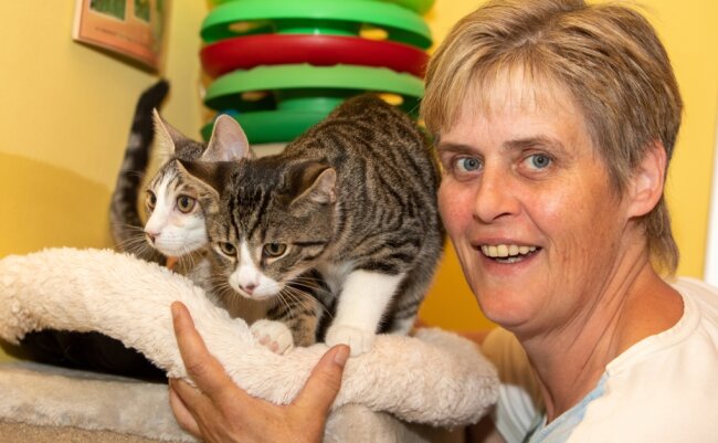 Katzenflut: Tierheim verhängt Aufnahmestopp - Tierheimchefin Antje Kausch mit den Katzen Elmo und Elvis. In der Einrichtung am Galgenberg werden derzeit mehr als 100 Katzen gepflegt. 