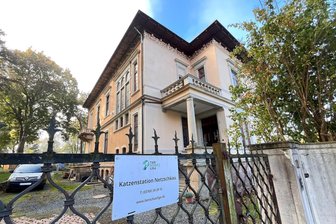Katzenstation Netzschkau steht vor dem Aus: Was sind die Gründe? - Die Katzenstation der Tierschutzliga Stiftung Tier und Natur in der Georgstraße 11 in Netzschkau. Sie soll zum Ende des Jahres geschlossen werden.