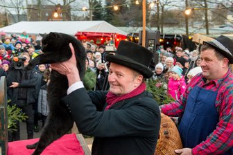 Katzenwiegen in Voigtsdorf - so wird der kommende Winter - 