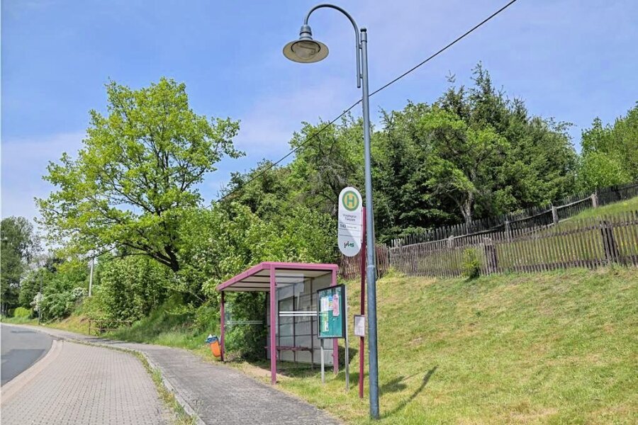 Kein Bus am Wochenende: Wie Familien in den Tierpark Hirschfeld kommen - Die Bushaltestelle in der Nähe des Tierparkes Hirschfeld wird am Wochenende von keinem Bus aus Zwickau angesteuert. 