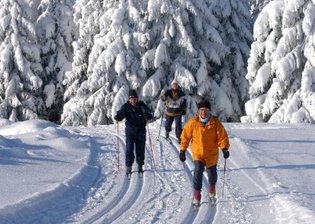 Kein Ort traut sich, Loipengebühr zu erheben - 