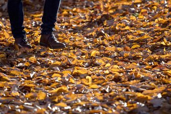 Kein Schnee in Sicht: Es bleibt trocken und sonnig -