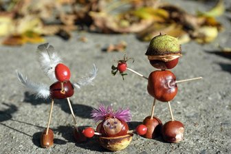 Kein Talent für Kastanien-Männchen? Hier können Chemnitzer Eicheln und Co. abgeben - Kastanien, Streichhölzer und Federn: Schon sind die Kastanien-Männchen fertig. Wer die Staubfänger nicht mag, kann die Früchte auch für Tiere spenden.