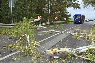 Keine Chance zum Bremsen: Skoda fährt über Baum auf B 175 nahe Langenbernsdorf - Nachdem der Baum auf die B 175 gefallen war, kam es zum Stau auf der B175.