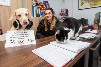 Keine Knallerei: Tierfreunde im Vogtland atmen auf - Die einst vom Plauener Tierheim vermittelte Hündin Kiwi fordert Feuerwerksverbot. Besitzerin Emelie Kießling unterstützt dies. Nur Kater Charlie scheint's egal zu sein. Er ist aufgrund seines Alters schwerhörig.