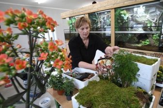 Keine Lehrer für das Schulbiologiezentrum -