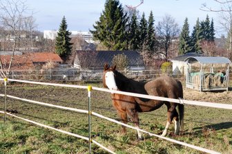 Keine Steuererhöhungen: Dieser Ort bei Chemnitz lässt alles beim Alten - Steuern auf Agrarflächen, bebaute Grundstücke und Gewerbe bringen Hartmannsdorf Einnahmen.