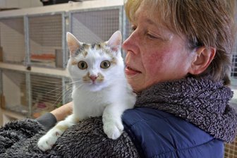 Keine Tiere für alte Menschen? – Warum Tierheime in Westsachsen nicht jedem Interessenten das gewünschte Tier geben - Tierheimmitarbeiterin Birgit Gaudlitz freut sich für die Katze Conny. Das Tier ist etwa ein halbes Jahr alt, hat vier Monate im Tierheim Langenberg gelebt. Jetzt konnte Conny an jüngere Leute vermittelt werden.