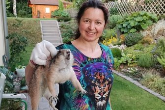 "Keinohrhase" auf der Flucht: Präriehund im Garten - Tina Feist konnte den Ausreißer trickreich dingfest machen.