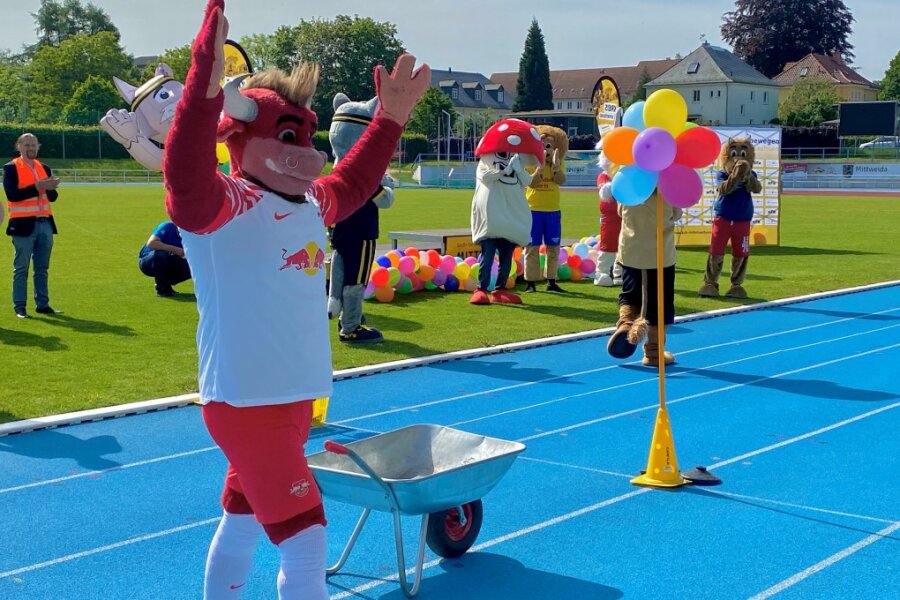 In Mittweida im Stadion am Schwanenteich traten bei einer lustigen Olympiade am Kindertag Maskottchen von Vereinen aus der Region gegeneinander an.