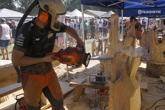Kettensägenschnitzen in Ebersbrunn: Drei Tage wird´s laut im Haasenwald - Nicht die Funken, dafür jede Menge Späne fliegen am Wochenende wieder beim Speedcarving der Kettensägenkünstler im Haasenwald.