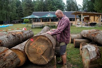Kettensägenschnitzer zeigen in Ebersbrunn, was sie drauf haben - Michel Neidhardt, Mitorganisator des Speedcarving-Quali-Wettbewerbs, muss noch bis Samstag aus über 50 Stämmen die für alle Teilnehmer gleichgroßen Stücke von 1,30 Meter Länge sägen.
